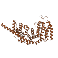 The deposited structure of PDB entry 7pnx contains 1 copy of Pfam domain PF10037 (Mitochondrial 28S ribosomal protein S27) in Small ribosomal subunit protein mS27. Showing 1 copy in chain V.