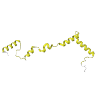 The deposited structure of PDB entry 7pnx contains 1 copy of Pfam domain PF08293 (Mitochondrial ribosomal subunit S27) in Small ribosomal subunit protein mS33. Showing 1 copy in chain Z.