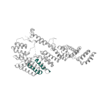 The deposited structure of PDB entry 7pnx contains 1 copy of Pfam domain PF13812 (Pentatricopeptide repeat domain) in Small ribosomal subunit protein mS39. Showing 1 copy in chain DA [auth 4].