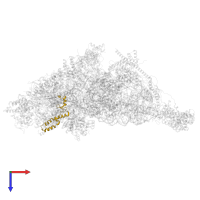 Small ribosomal subunit protein uS14m in PDB entry 7pny, assembly 1, top view.