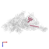 Small ribosomal subunit protein uS15m in PDB entry 7pny, assembly 1, top view.