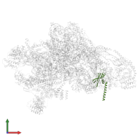 Small ribosomal subunit protein bS16m in PDB entry 7pny, assembly 1, front view.