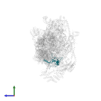 Small ribosomal subunit protein mS40 in PDB entry 7pny, assembly 1, side view.