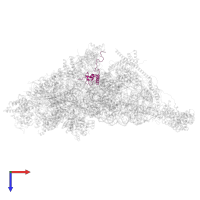 Small ribosomal subunit protein bS18m in PDB entry 7pny, assembly 1, top view.