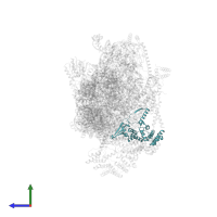 Small ribosomal subunit protein mS22 in PDB entry 7pny, assembly 1, side view.