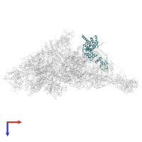 Small ribosomal subunit protein mS22 in PDB entry 7pny, assembly 1, top view.
