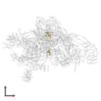 Small ribosomal subunit protein mS23 in PDB entry 7pny, assembly 1, front view.