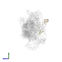 Small ribosomal subunit protein mS23 in PDB entry 7pny, assembly 1, side view.