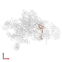 Small ribosomal subunit protein mS25 in PDB entry 7pny, assembly 1, front view.