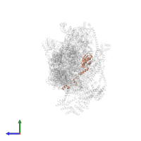 Small ribosomal subunit protein mS25 in PDB entry 7pny, assembly 1, side view.