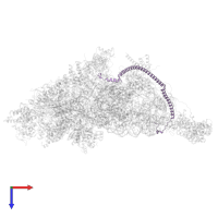 Small ribosomal subunit protein mS26 in PDB entry 7pny, assembly 1, top view.