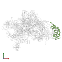 Small ribosomal subunit protein mS27 in PDB entry 7pny, assembly 1, front view.