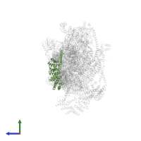 Small ribosomal subunit protein mS27 in PDB entry 7pny, assembly 1, side view.
