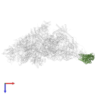 Small ribosomal subunit protein mS27 in PDB entry 7pny, assembly 1, top view.