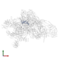 Small ribosomal subunit protein bS1m in PDB entry 7pny, assembly 1, front view.