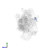 Small ribosomal subunit protein bS1m in PDB entry 7pny, assembly 1, side view.