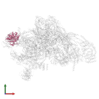 Small ribosomal subunit protein mS29 in PDB entry 7pny, assembly 1, front view.