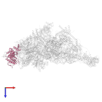 Small ribosomal subunit protein mS29 in PDB entry 7pny, assembly 1, top view.