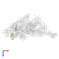 Small ribosomal subunit protein mS31 in PDB entry 7pny, assembly 1, top view.