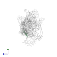 Small ribosomal subunit protein mS33 in PDB entry 7pny, assembly 1, side view.