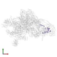 Small ribosomal subunit protein mS34 in PDB entry 7pny, assembly 1, front view.