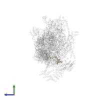 Small ribosomal subunit protein mS35 in PDB entry 7pny, assembly 1, side view.