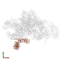 Small ribosomal subunit protein mS39 in PDB entry 7pny, assembly 1, front view.