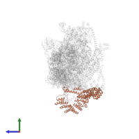 Small ribosomal subunit protein mS39 in PDB entry 7pny, assembly 1, side view.