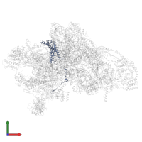 Putative ribosome-binding factor A, mitochondrial in PDB entry 7pny, assembly 1, front view.