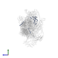 Putative ribosome-binding factor A, mitochondrial in PDB entry 7pny, assembly 1, side view.