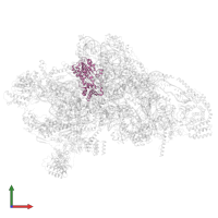 12S rRNA N4-methylcytidine (m4C) methyltransferase in PDB entry 7pny, assembly 1, front view.