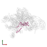 Small ribosomal subunit protein uS5m in PDB entry 7pny, assembly 1, front view.
