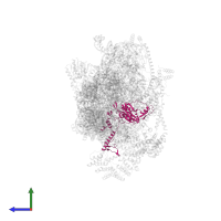 Small ribosomal subunit protein uS5m in PDB entry 7pny, assembly 1, side view.