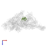 Small ribosomal subunit protein bS6m in PDB entry 7pny, assembly 1, top view.