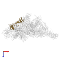 Small ribosomal subunit protein uS9m in PDB entry 7pny, assembly 1, top view.