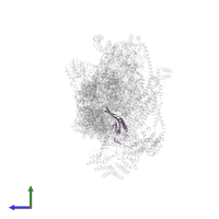 Small ribosomal subunit protein uS10m in PDB entry 7pny, assembly 1, side view.