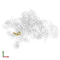 Small ribosomal subunit protein uS14m in PDB entry 7pnz, assembly 1, front view.