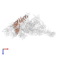 Small ribosomal subunit protein mS39 in PDB entry 7pnz, assembly 1, top view.