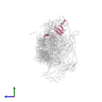 Small ribosomal subunit protein uS15m in PDB entry 7po1, assembly 1, side view.