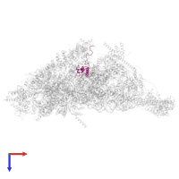 Small ribosomal subunit protein bS18m in PDB entry 7po1, assembly 1, top view.