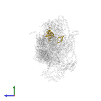 Small ribosomal subunit protein uS7m in PDB entry 7po1, assembly 1, side view.