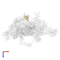 Small ribosomal subunit protein mS23 in PDB entry 7po2, assembly 1, top view.