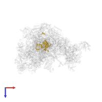 Large ribosomal subunit protein uL15m in PDB entry 7po4, assembly 1, top view.