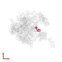 Large ribosomal subunit protein uL16m in PDB entry 7po4, assembly 1, front view.