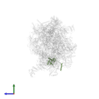 Large ribosomal subunit protein bL17m in PDB entry 7po4, assembly 1, side view.