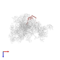 Large ribosomal subunit protein bL21m in PDB entry 7po4, assembly 1, top view.