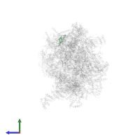 Large ribosomal subunit protein bL33m in PDB entry 7po4, assembly 1, side view.