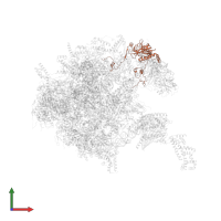 Large ribosomal subunit protein mL38 in PDB entry 7po4, assembly 1, front view.