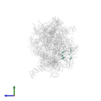 Large ribosomal subunit protein mL42 in PDB entry 7po4, assembly 1, side view.