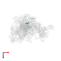 Large ribosomal subunit protein mL42 in PDB entry 7po4, assembly 1, top view.